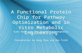 A Functional Protein Chip for Pathway Optimization and in Vitro Metabolic Engineering Gyoo Yeol Jung and Gregory Stphanopoulos Presentation by Hang Chau.