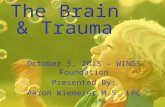 The Brain & Trauma October 5, 2013 – WINGS Foundation Presented By: Aaron Wiemeier M.S. LPC.