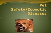 Definitions Zoonotic Diseases that can be transmitted from animals to humans Ex: Rabies Parasite Organisms that live on or in a host, which the parasite.