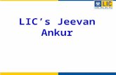 LIC’s Jeevan Ankur. LIC’s Jeevan Ankur Features A must plan for all parents. Parent is the Life Assured, child is the Beneficiary. Death Benefit = Sum.