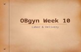 OBgyn Week 10 Labor & Delivery. Birth Practitioners Who can deliver the baby? Obstetrician-Gynecologists Maternal-Fetal Med Specialists Family Practice.