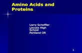 Amino Acids and Proteins Larry Scheffler Lincoln High School Portland OR 1.