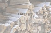 Forestry Fuelwood. Objectives Today you will learn: