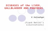 1 DISEASES of the LIVER, GALLBLADDER AND PANCREAS V.Voloshyn (Frank Netterâ€™s illustrations)