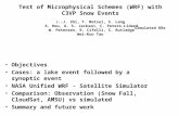 Test of Microphysical Schemes (WRF) with C3VP Snow Events J.-J. Shi, T. Matsui, S. Lang A. Hou, G. S. Jackson, C. Peters-Lidard W. Petersen, R. Cifelli,