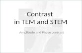 Contrast in TEM and STEM Amplitude and Phase contrast.