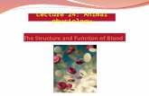 Lecture 24: Animal physiology. Composition of Blood Blood is responsible for….. Transporting gases (oxygen & carbon dioxide) Transporting waste products.