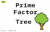 Prime Factor Tree © Richard A. Medeiros 2008 next.