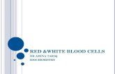 RED &WHITE BLOOD CELLS DR AMINA TARIQ BIOCHEMISTRY.