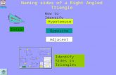 Naming sides of a Right Angled Triangle Intro How to Identify Hypotenuse Opposite Adjacent Identify Sides in Triangles.