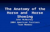The Anatomy of the Horse and Horse Shoeing John McNerney 2004 American Farriers Team Member.