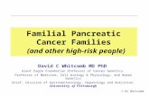 © Dr Whitcomb Familial Pancreatic Cancer Families (and other high-risk people) David C Whitcomb MD PhD Giant Eagle Foundation Professor of Cancer Genetics.