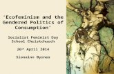 ‘Ecofeminism and the Gendered Politics of Consumption’ Socialist Feminist Day School Christchurch 26 th April 2014 Sionainn Byrnes.