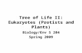 Tree of Life II: Eukaryotes (Protists and Plants) Biology/Env S 204 Spring 2009.