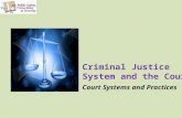Criminal Justice System and the Courts Court Systems and Practices.