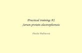 Practical training A1 Serum protein electrophoresis Pavla Bal­nov