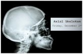 Axial Skeleton Friday, December 2 nd. Skull Bones Review Mental Foramen.