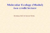 Molecular Ecology (Modul) two credit lecture Kristina Sefc & Steven Weiss.