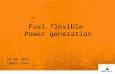 15.06.2012 Tomas rönn Fuel flexible Power generation.