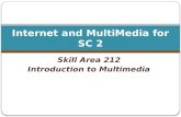 Skill Area 212 Introduction to Multimedia Internet and MultiMedia for SC 2.