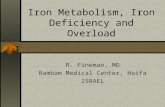 Iron Metabolism, Iron Deficiency and Overload R. Fineman, MD Rambam Medical Center, Haifa ISRAEL.
