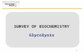 1 SURVEY OF BIOCHEMISTRY Glycolysis. 2 Announcements Exam #2 on June 26 –Chapters 7, 8, 11, 12, 14 Bring calculators Study Session with Vonda –Thursday,