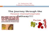 Dr. Saidunnisa, MD Professor of Biochemistry The Journey through the Hexose monophosphate Pathway!!!!