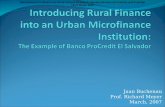 Juan Buchenau Prof. Richard Meyer March, 2007 International Conference on Rural Finance Research: Moving Results into Policies and Practice 19-21 March.