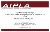1 1 AIPLA Firm Logo American Intellectual Property Law Association Updates regarding: Global/IP5 PPH pilot program at the USPTO and Patent Law Treaty (PLT)