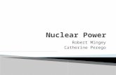 Robert Mingey Catherine Perego.  Nuclear power accounts for 16% of the world’s energy  Although it is not a renewable resource, it is an important source.