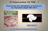 Il Glaucoma OLTRE…! Tricase 16/05/14. Structure and function: not only glaucoma 2.