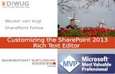 Customizing the SharePoint 2013 Rich Text Editor.