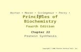 Principles of Biochemistry Fourth Edition Chapter 22 Protein Synthesis Copyright © 2006 Pearson Prentice Hall, Inc. Horton Moran Scrimgeour Perry Rawn.
