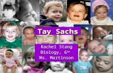 Tay Sachs Rachel Stang Biology, 6 th Ms. Martinson.