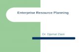 Enterprise Resource Planning Dr. Djamal Ziani. Understand Enterprise Resource Planning Systems CHAPTER 1.