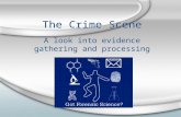 The Crime Scene A look into evidence gathering and processing.