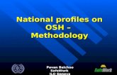 National profiles on OSH – Methodology Pavan Baichoo SafeWork ILO Geneva.