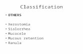 Classification OTHERS Xerostomia Sialorrhea Mucocele Mucous retention Ranula