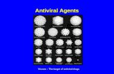 Antiviral Agents Viruses - The target of antiviral drugs