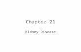 Chapter 21 Kidney Disease. Key Concepts Kidney disease interferes with the normal capacity of nephrons to filter waste products of body metabolism. Short-term.