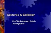 Seizures & Epilepsy Prof.Mohammad Salah Abduljabbar.