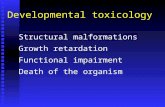 Structural malformations Growth retardation Functional impairment Death of the organism Developmental toxicology.