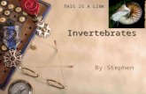 Invertebrates By:Stephen THIS IS A LINK. THIS IS A LINK TO INFORMATION ON BURGESS SHALE FOSSILS OF INVERTEBRATES INVERTEBRATES EVOLVED DURING THE CAMBRIAN