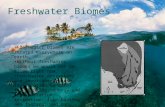 By Marylene Poyhanya Freshwater Biome Freshwater biomes are located everywhere on earth. Without freshwater biomes we would not be alive right now. Freshwater.