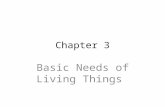 Chapter 3 Basic Needs of Living Things. Ecology the study of all processes influencing the distribution and abundance of organisms Interactions between.