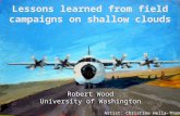 Lessons learned from field campaigns on shallow clouds Robert Wood University of Washington Robert Wood University of Washington Artist: Christine Hella-Thompson.