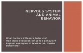 What factors influence behavior? How does evolution influence behavior? Explain examples of learned vs. innate behaviors? NERVOUS SYSTEM AND ANIMAL BEHAVIOR.