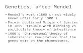 Genetics, after Mendel Mendel's work (1860's) not widely known until early 1900’s Darwin published Origin of Species in 1859- trouble with blending vs.