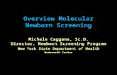 Overview Molecular Newborn Screening Michele Caggana, Sc.D. Director, Newborn Screening Program New York State Department of Health Wadsworth Center.