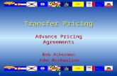 E Transfer Pricing Advance Pricing Agreements Bob Ackerman John Michaelson Advance Pricing Agreements Bob Ackerman John Michaelson.